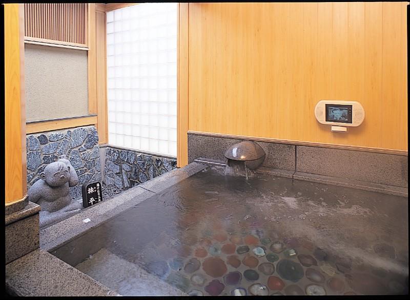 Hotel Seifuuen Shibata  Bekvämligheter bild